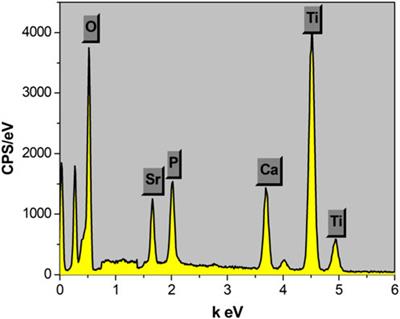 A cytocompatible microporous Sr-doped titanium dioxide coating fabricated by plasma electrolytic oxidation